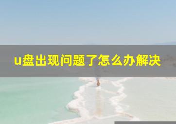 u盘出现问题了怎么办解决