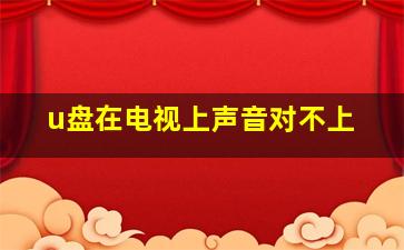 u盘在电视上声音对不上