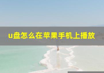 u盘怎么在苹果手机上播放