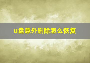 u盘意外删除怎么恢复