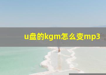 u盘的kgm怎么变mp3