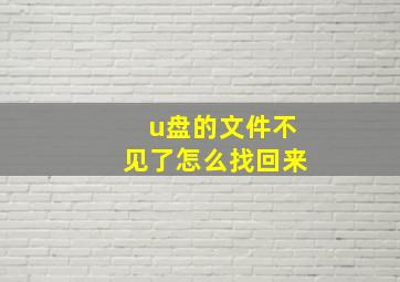 u盘的文件不见了怎么找回来