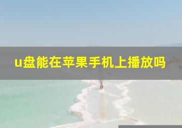 u盘能在苹果手机上播放吗