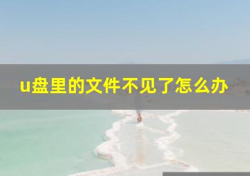 u盘里的文件不见了怎么办