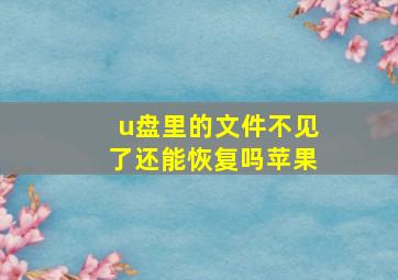 u盘里的文件不见了还能恢复吗苹果