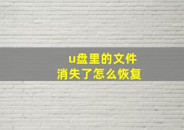 u盘里的文件消失了怎么恢复