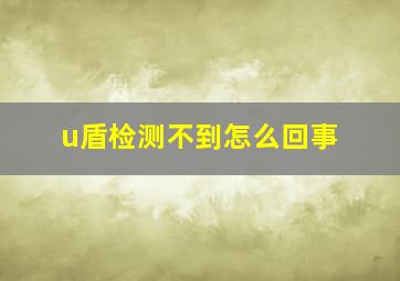 u盾检测不到怎么回事