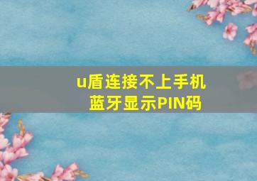 u盾连接不上手机蓝牙显示PIN码