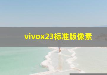 vivox23标准版像素