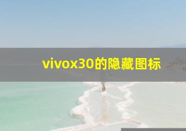 vivox30的隐藏图标