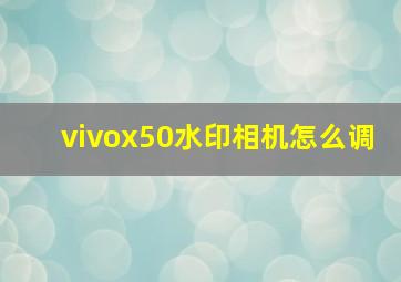 vivox50水印相机怎么调