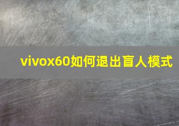 vivox60如何退出盲人模式