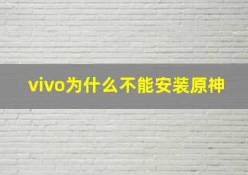 vivo为什么不能安装原神