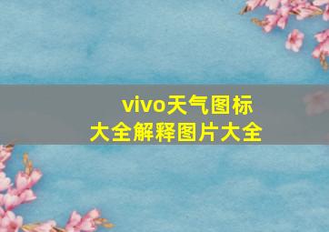 vivo天气图标大全解释图片大全