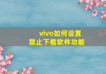 vivo如何设置禁止下载软件功能