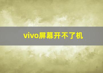 vivo屏幕开不了机