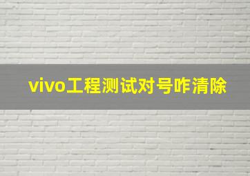 vivo工程测试对号咋清除