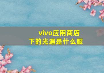 vivo应用商店下的光遇是什么服