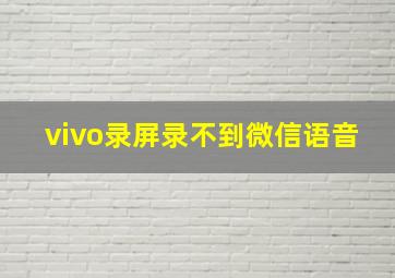 vivo录屏录不到微信语音