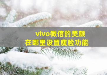 vivo微信的美颜在哪里设置廋脸功能