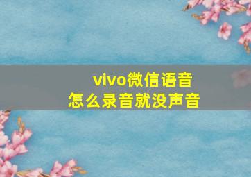 vivo微信语音怎么录音就没声音