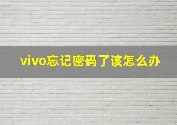 vivo忘记密码了该怎么办