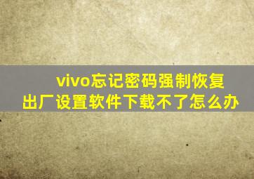 vivo忘记密码强制恢复出厂设置软件下载不了怎么办