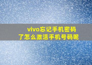 vivo忘记手机密码了怎么激活手机号码呢