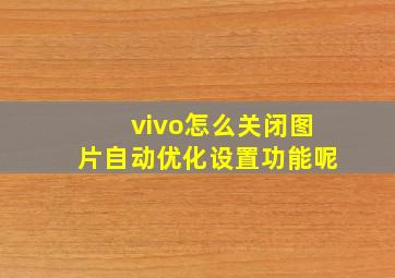 vivo怎么关闭图片自动优化设置功能呢