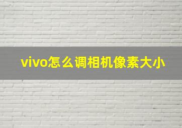 vivo怎么调相机像素大小