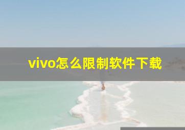 vivo怎么限制软件下载