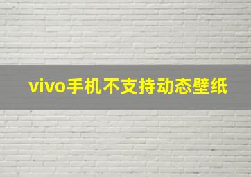 vivo手机不支持动态壁纸