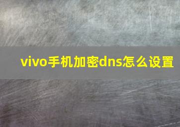 vivo手机加密dns怎么设置