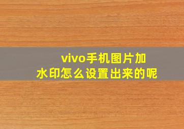 vivo手机图片加水印怎么设置出来的呢