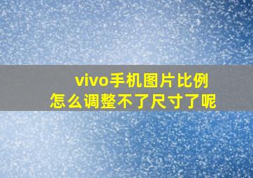 vivo手机图片比例怎么调整不了尺寸了呢