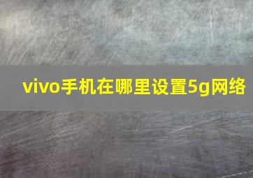 vivo手机在哪里设置5g网络