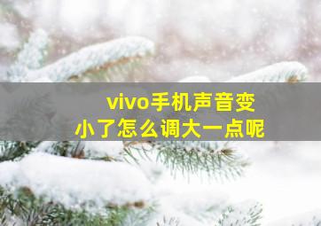 vivo手机声音变小了怎么调大一点呢