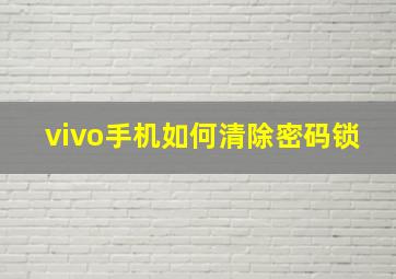 vivo手机如何清除密码锁