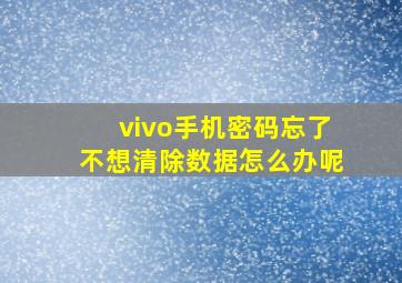 vivo手机密码忘了不想清除数据怎么办呢