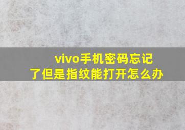 vivo手机密码忘记了但是指纹能打开怎么办