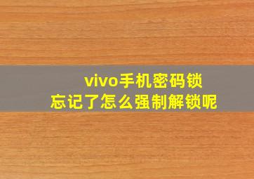 vivo手机密码锁忘记了怎么强制解锁呢