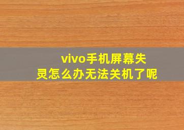 vivo手机屏幕失灵怎么办无法关机了呢