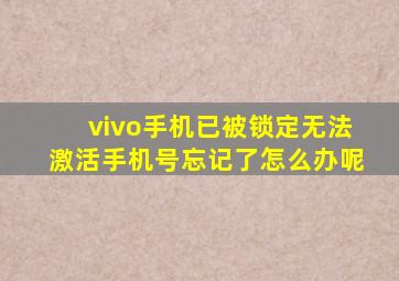 vivo手机已被锁定无法激活手机号忘记了怎么办呢