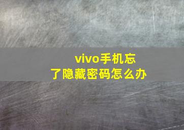 vivo手机忘了隐藏密码怎么办