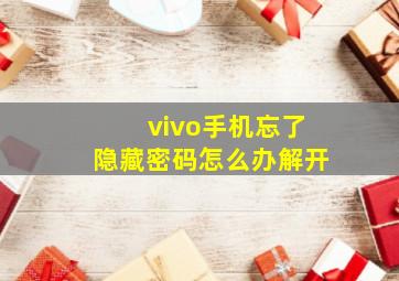 vivo手机忘了隐藏密码怎么办解开