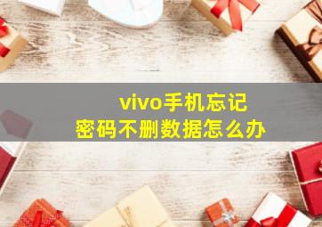 vivo手机忘记密码不删数据怎么办