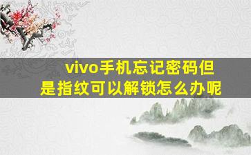 vivo手机忘记密码但是指纹可以解锁怎么办呢