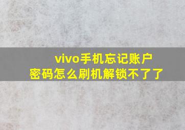 vivo手机忘记账户密码怎么刷机解锁不了了