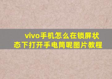 vivo手机怎么在锁屏状态下打开手电筒呢图片教程