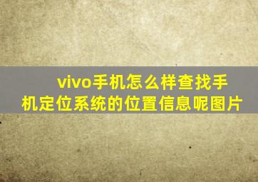 vivo手机怎么样查找手机定位系统的位置信息呢图片